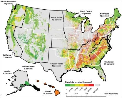 Invasive Plants of US Forests